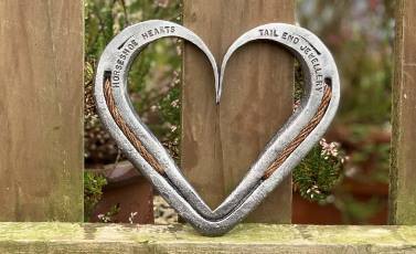 Horse shoe with horsehair